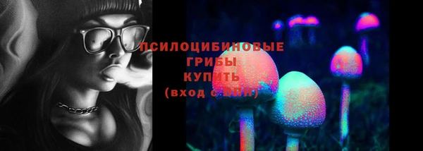 а пвп мука Гвардейск