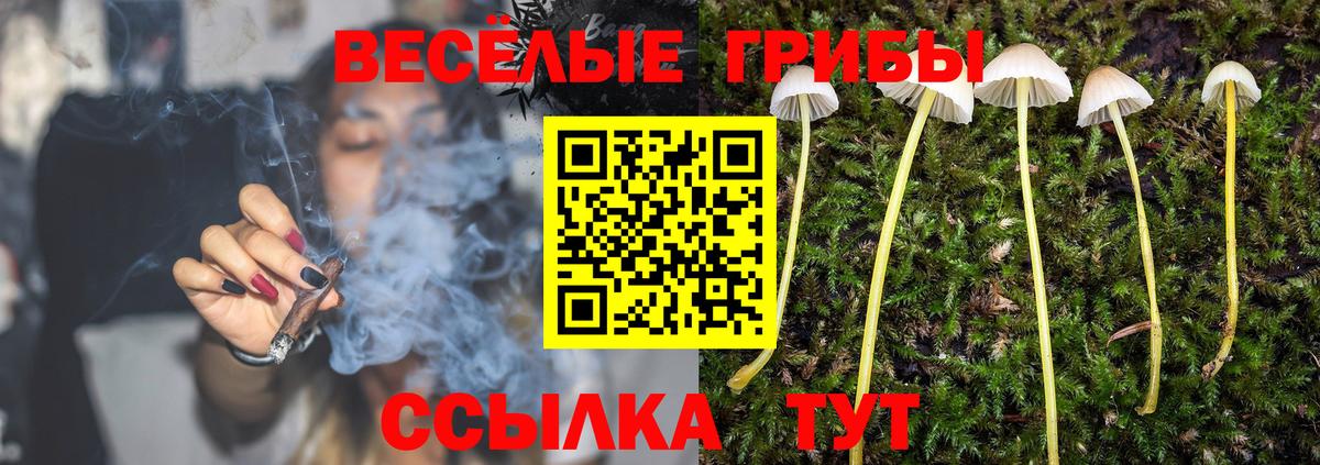 Псилоцибиновые грибы мухоморы Холмск