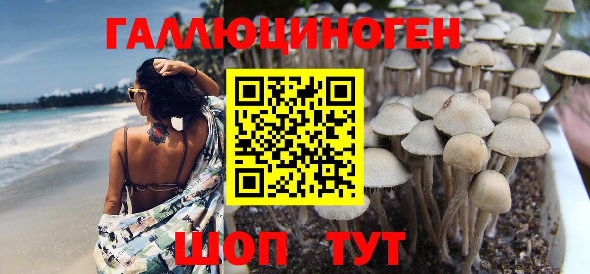 Холмск  Галлюциногенные грибы ЛСД  Вход с VPN 