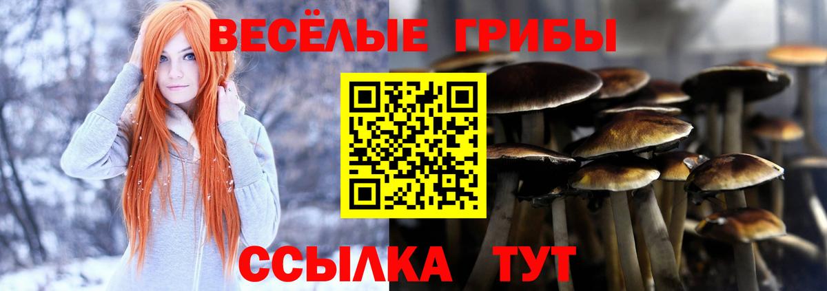  Кокаин Холмск